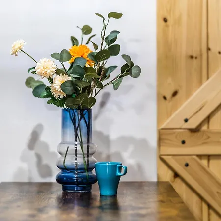Citystay Rustykalny Apartamento *